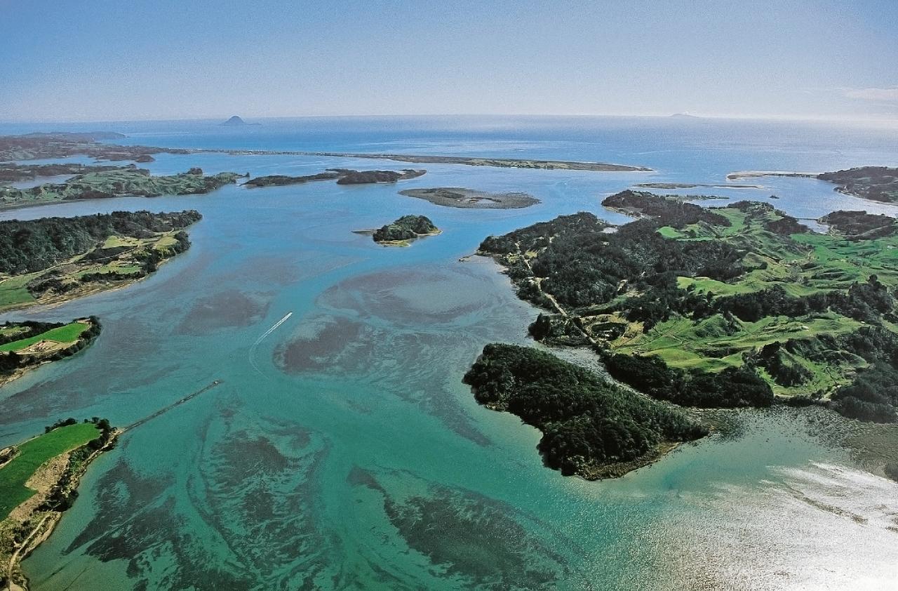 Ohiwa Seascape Studios Opotiki Eksteriør bilde